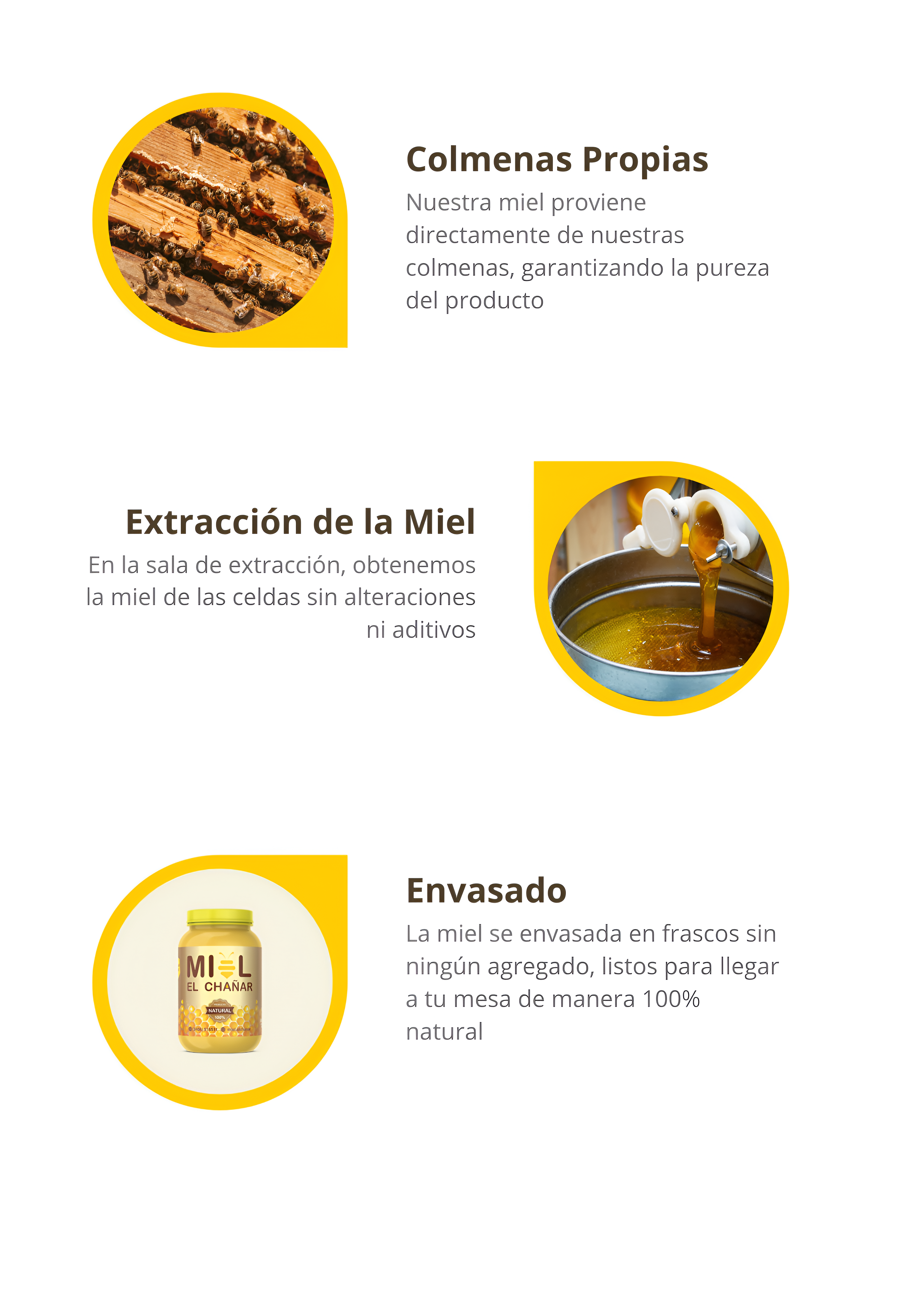 Proceso de la Miel